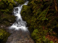 Fundy National Park Of Canada